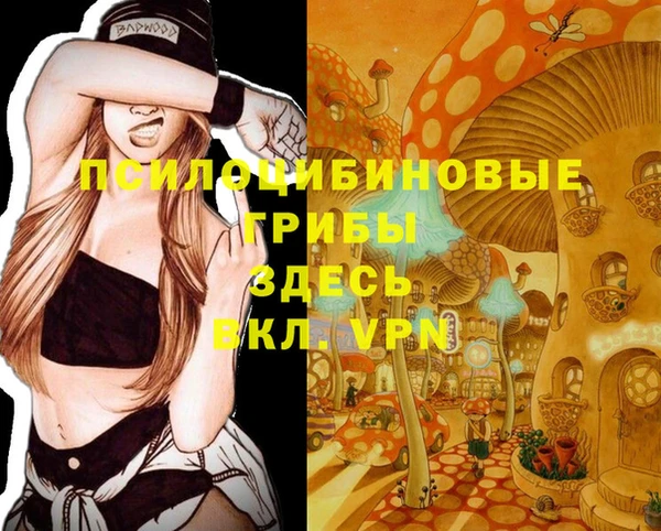 не бодяженный Абаза
