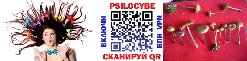 как найти   Калачинск  Псилоцибиновые грибы Magic Shrooms 